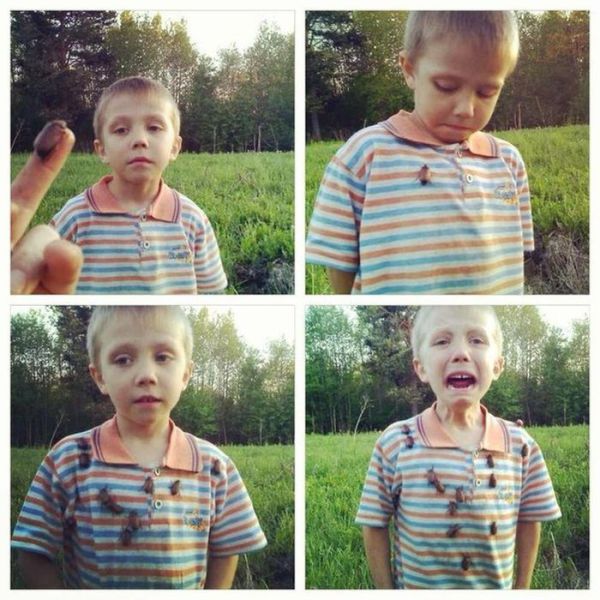 Morning Picdump