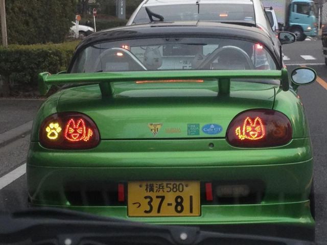 Content Image