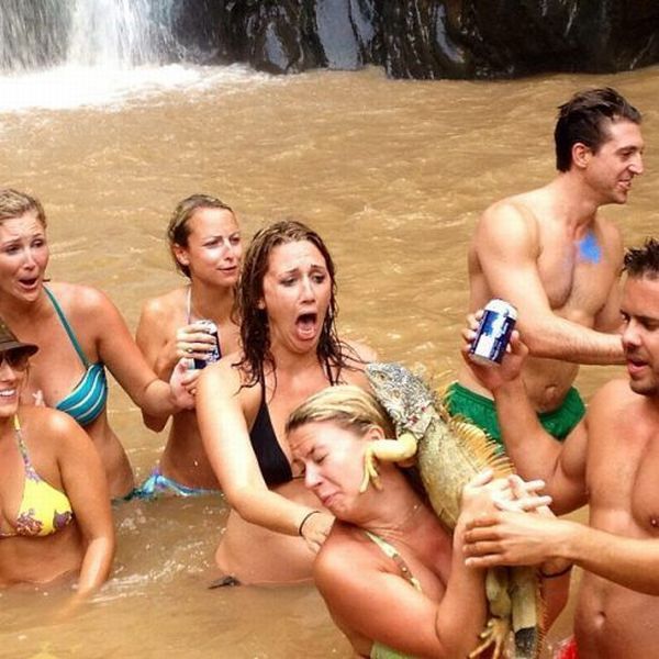 Morning Picdump