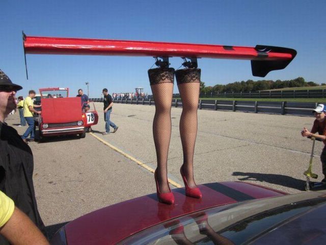 Morning Picdump