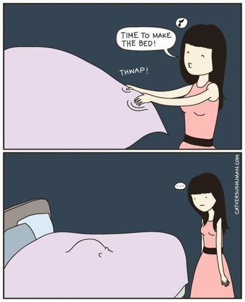 Morning Picdump