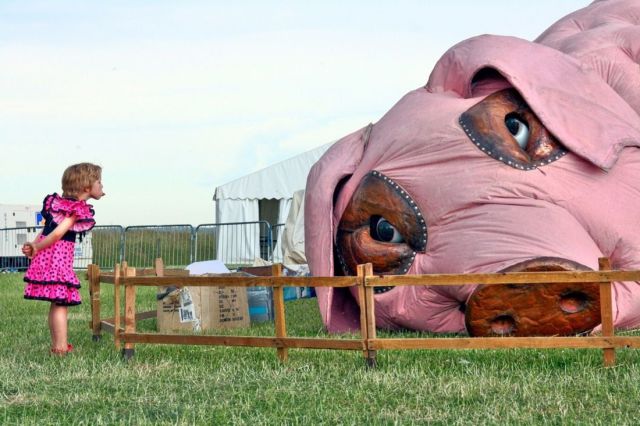 Morning Picdump