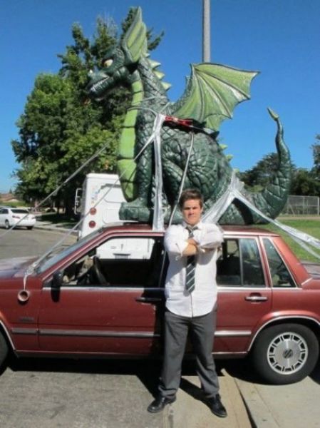 Morning Picdump