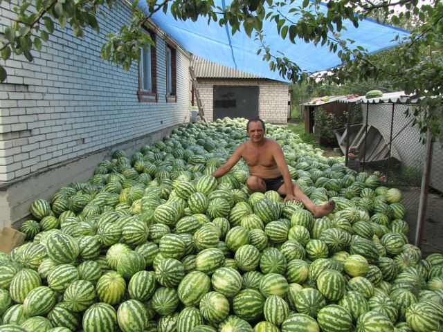 Morning Picdump
