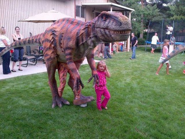 Morning Picdump