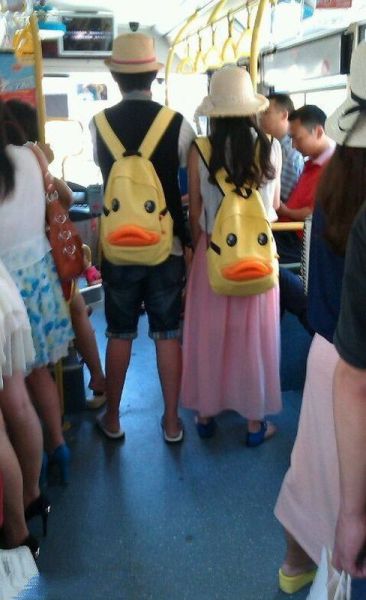 Morning Picdump