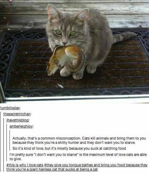 Content Image