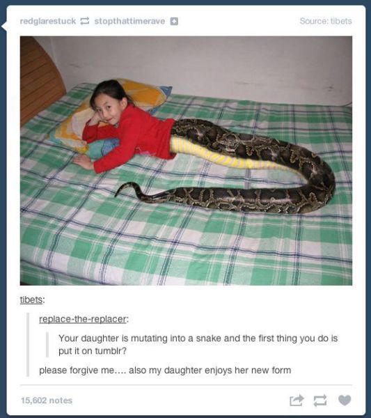Content Image