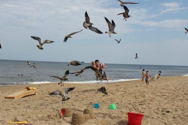 Morning Picdump