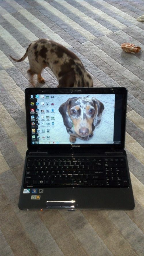 Morning Picdump