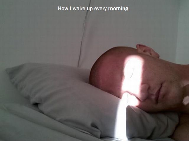Morning Picdump