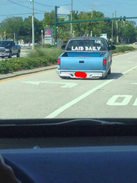 Morning Picdump