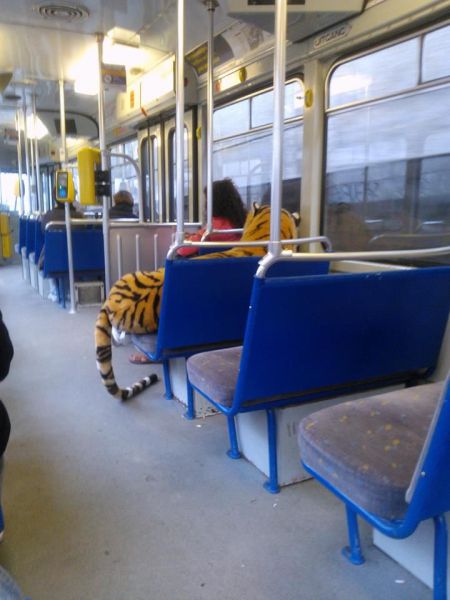 Morning Picdump