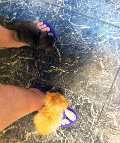 Morning Picdump