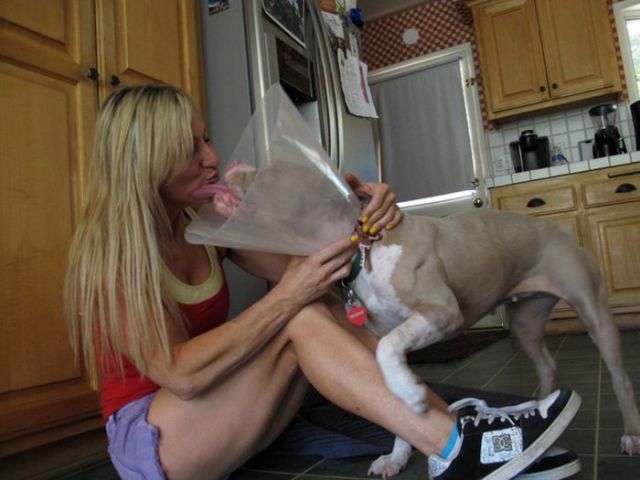 Sweet Story of a Rescued Pit Bull