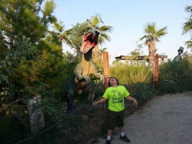 Morning Picdump