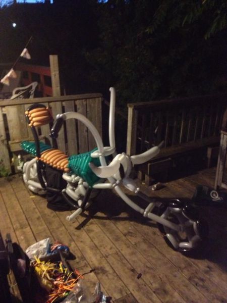 Content Image