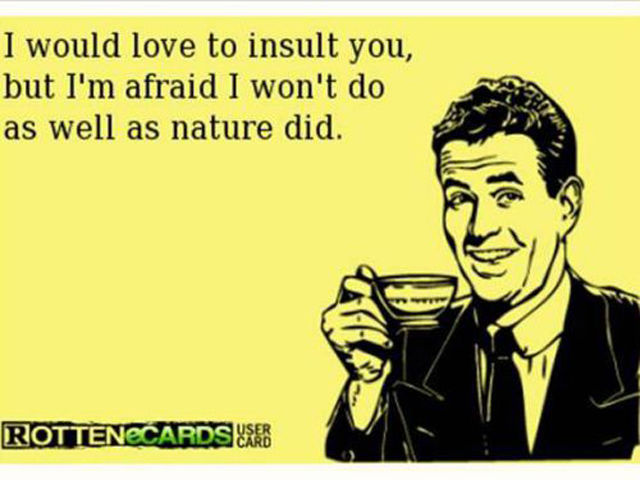 Memes That Are Both Funny and Insulting at the Same Time