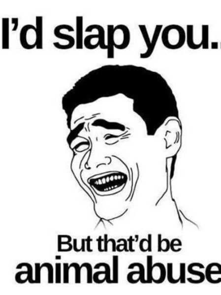Memes That Are Both Funny and Insulting at the Same Time