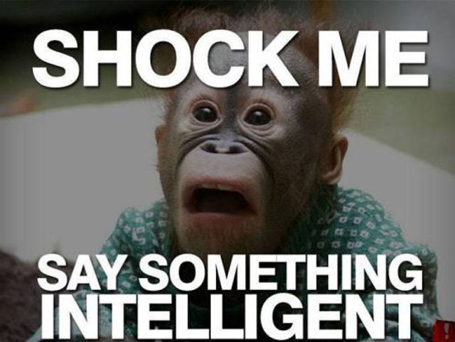 Memes That Are Both Funny and Insulting at the Same Time