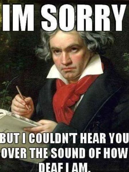 Memes That Are Both Funny and Insulting at the Same Time