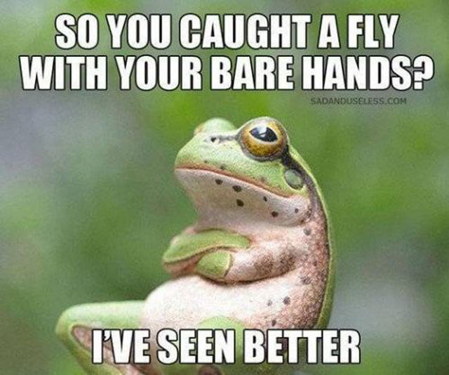 Memes That Are Both Funny and Insulting at the Same Time