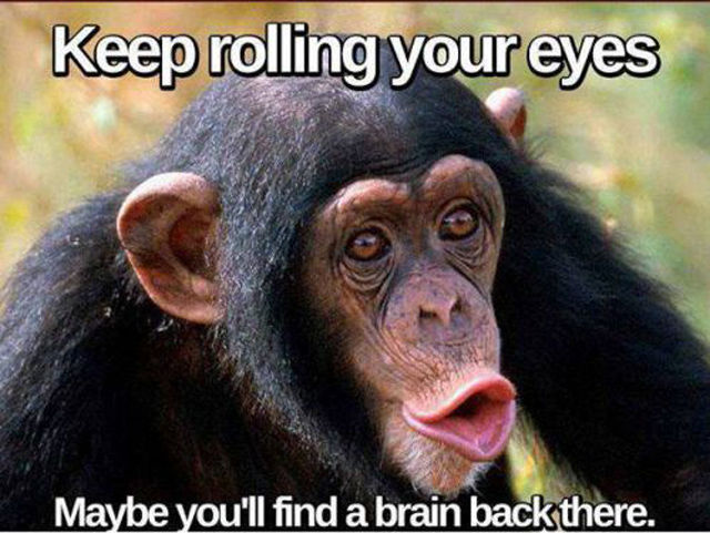 Memes That Are Both Funny and Insulting at the Same Time