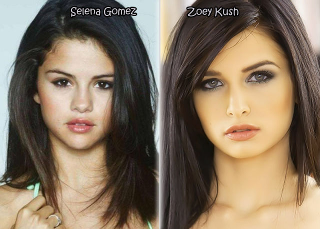 Gorgeous Stars and Their Porn Actor Dopplegangers