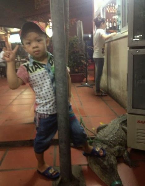 Morning Picdump