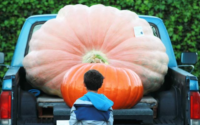 Morning Picdump