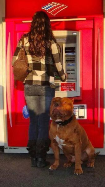 Morning Picdump