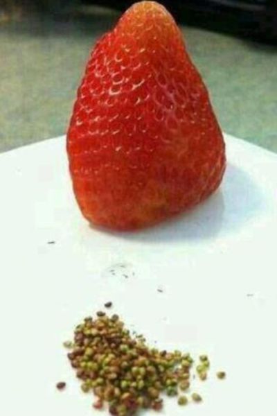 Content Image