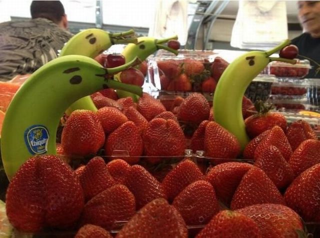 Content Image