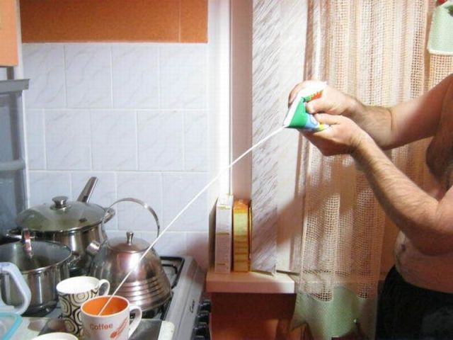 Morning Picdump