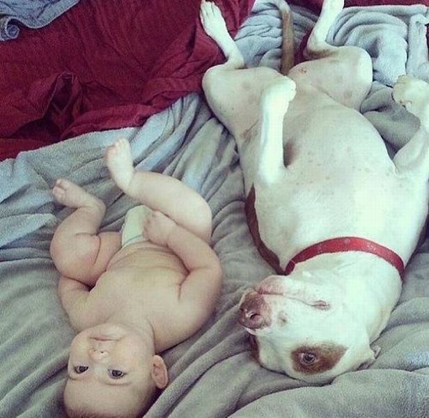 Morning Picdump
