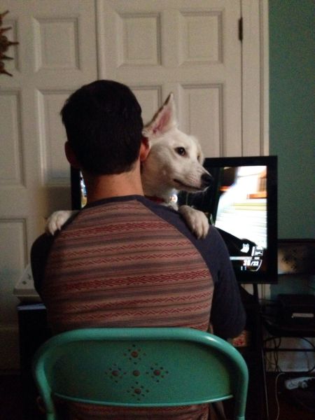 Morning Picdump