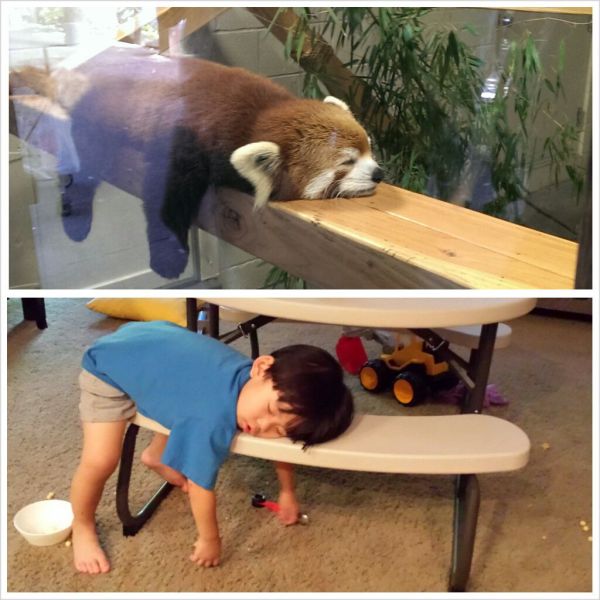 Morning Picdump