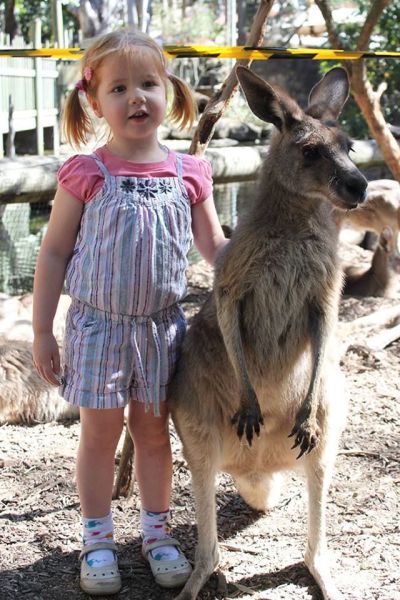 Morning Picdump