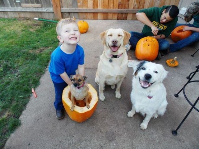 Morning Picdump
