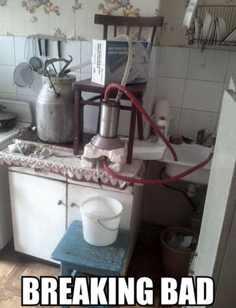 Morning Picdump