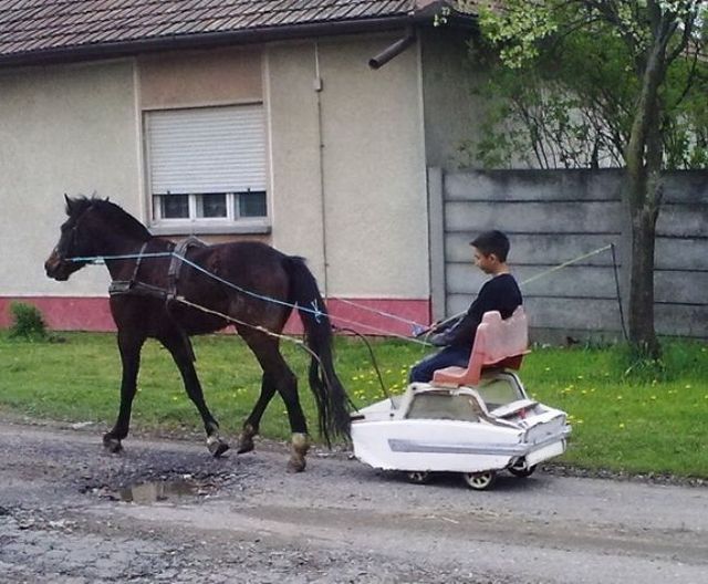 Morning Picdump