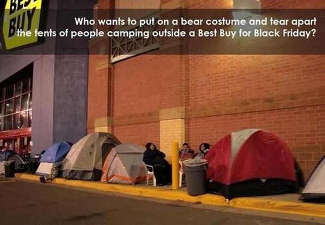 Morning Picdump
