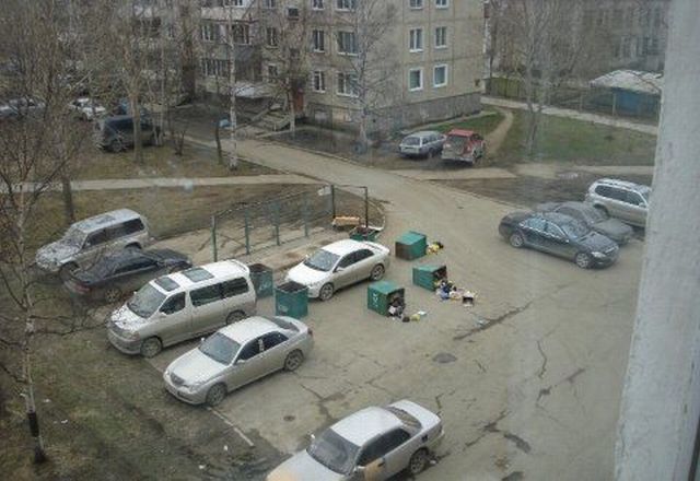 Morning Picdump