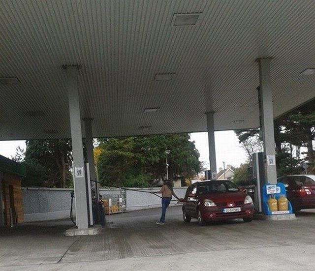 Morning Picdump