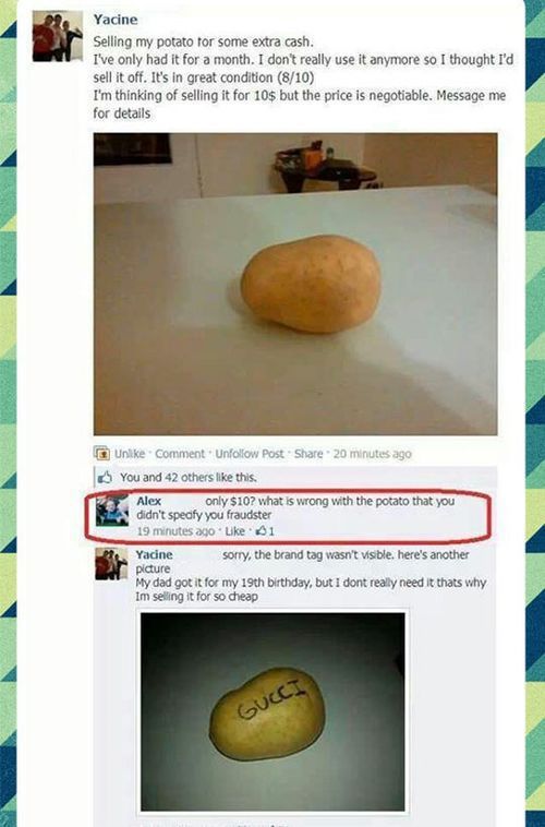 Morning Picdump