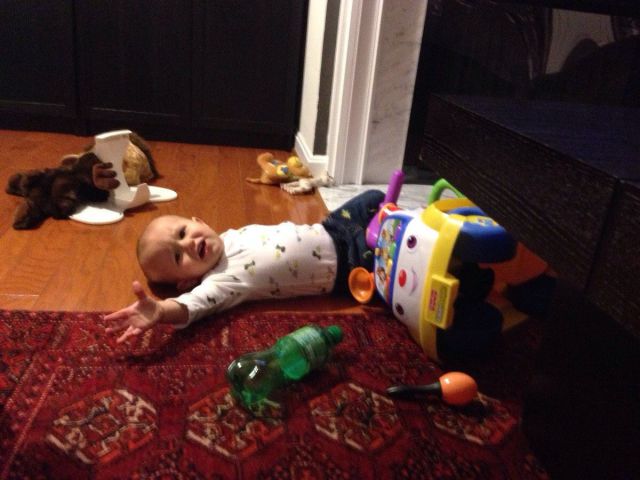 Morning Picdump