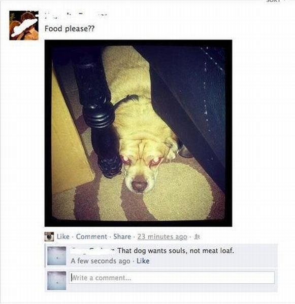 Content Image
