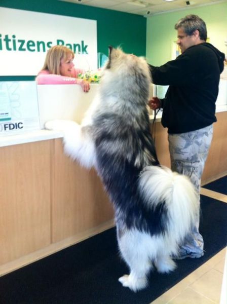 Morning Picdump