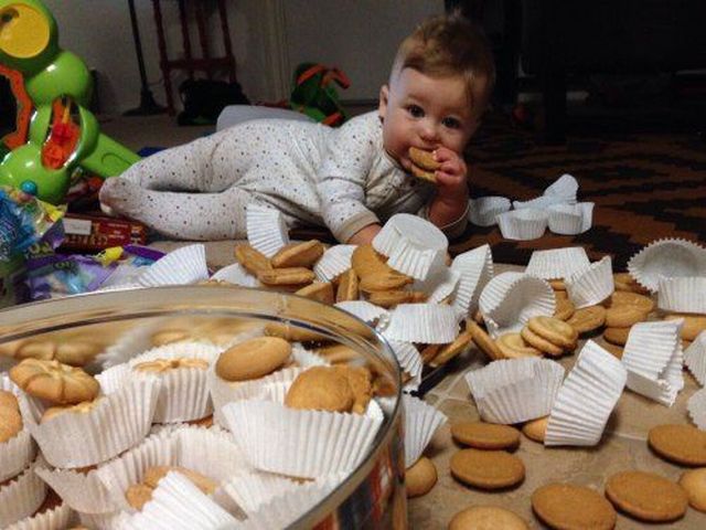Morning Picdump
