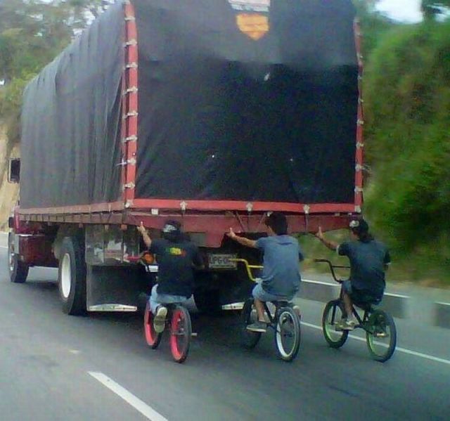 Daily Picdump